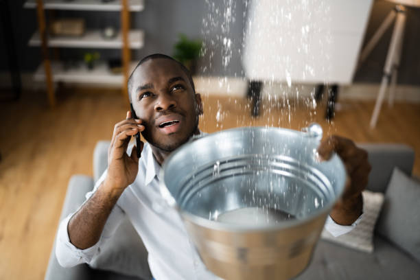 Best Sewage cleanup and water damage restoration  in Mason, TN