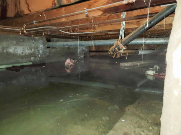 Fire Damage Restoration in Mason, TN