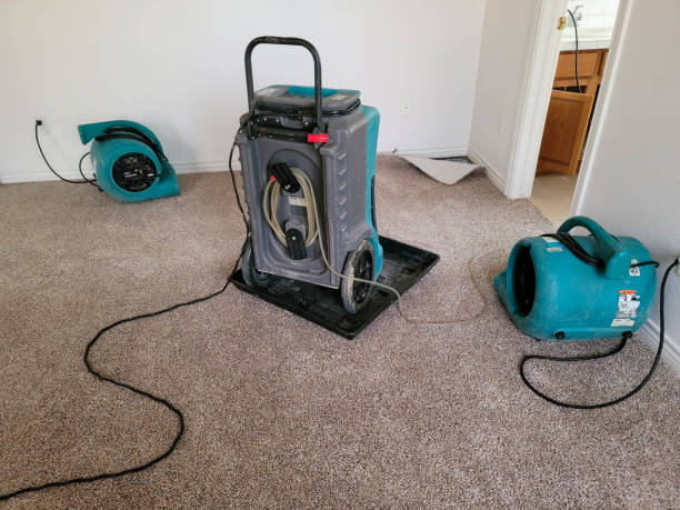 Best Flooded house restoration  in Mason, TN