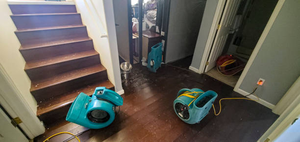 Best Emergency water damage restoration  in Mason, TN