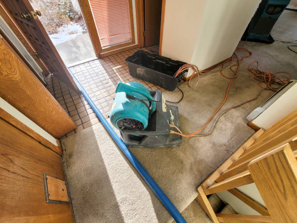  Mason, TN Water damage restoration Pros