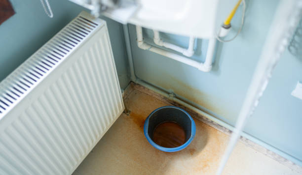 Best Basement water damage restoration  in Mason, TN