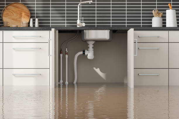 Best Water damage contractors near me  in Mason, TN