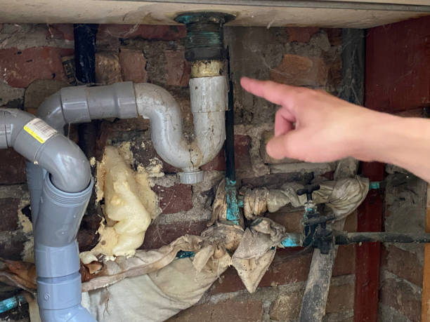 Best Water damage restoration near me  in Mason, TN