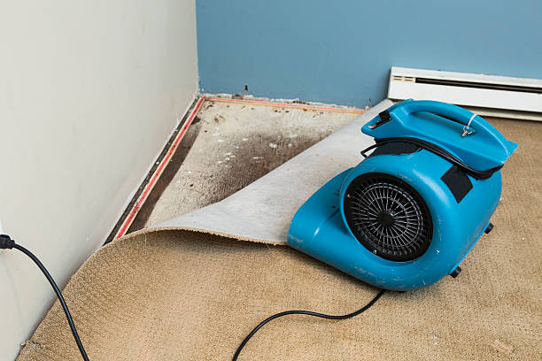 Best Water damage restoration process  in Mason, TN
